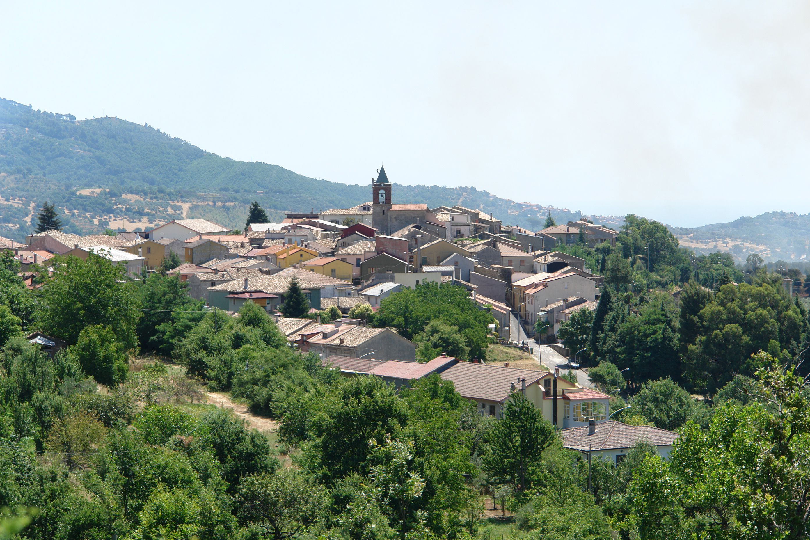 Panorama Olivadi